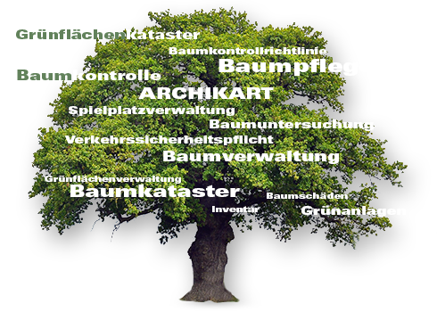 Fachinformationen-Baum-/Grünflächenverwaltung